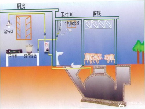 沼氣發(fā)酵示意圖